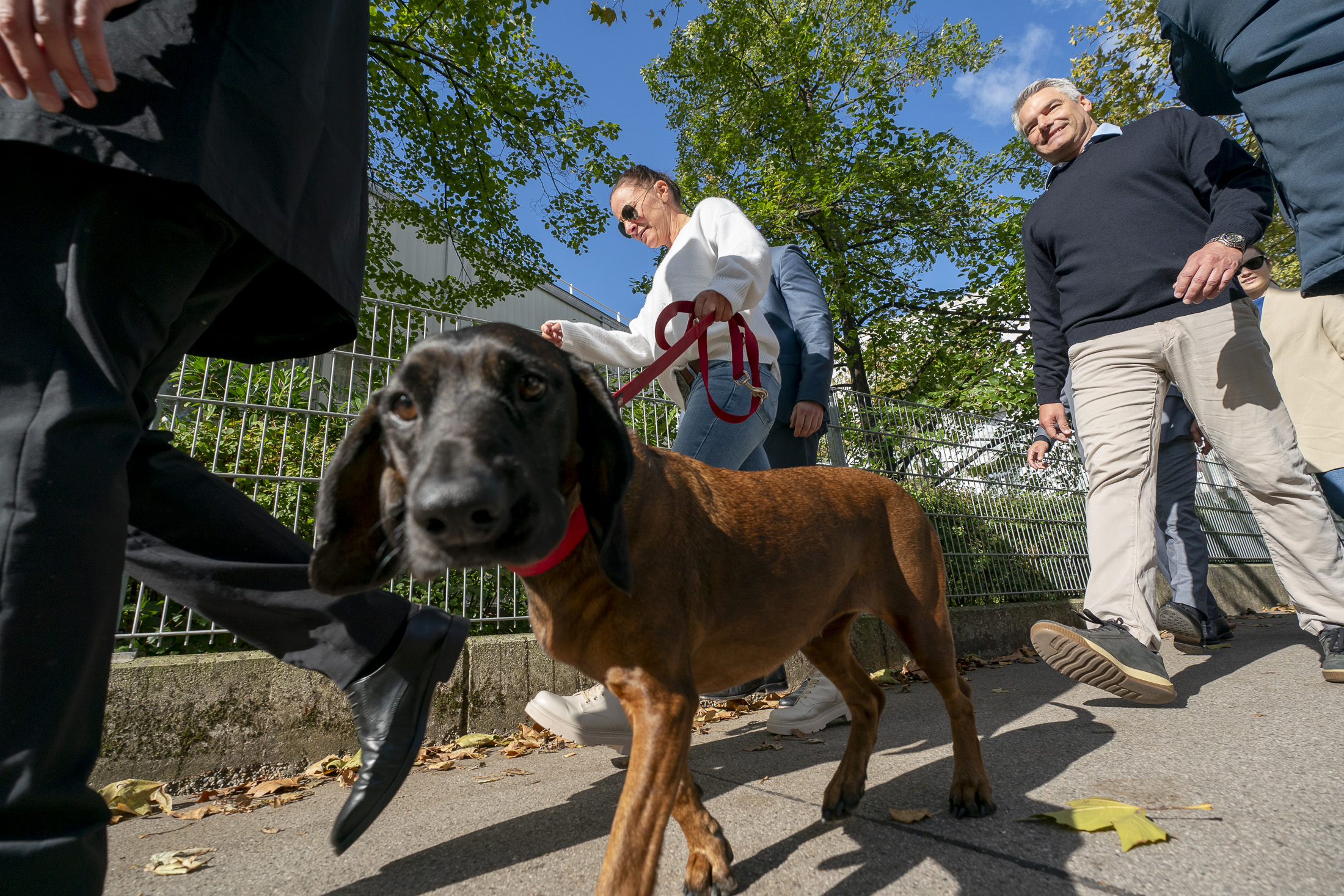 Bundeskanzler Karl Nehammer vor Journalisten am Wahltag